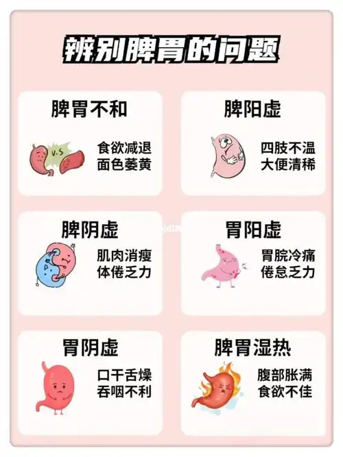 61566种脾胃常见的问题以及调理方法脾胃不和