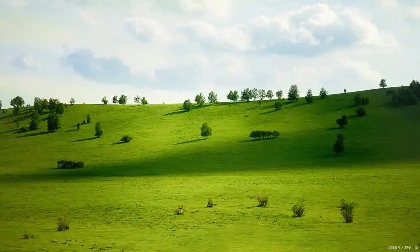 喀拉峻草原的海拔高度在一千三到三千九之间,东西的长度有89公里.