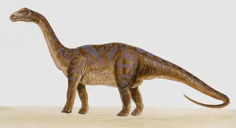 侏罗纪搏击俱乐部(mp3 中英字幕) 第120期:恐龙身上结实的护甲