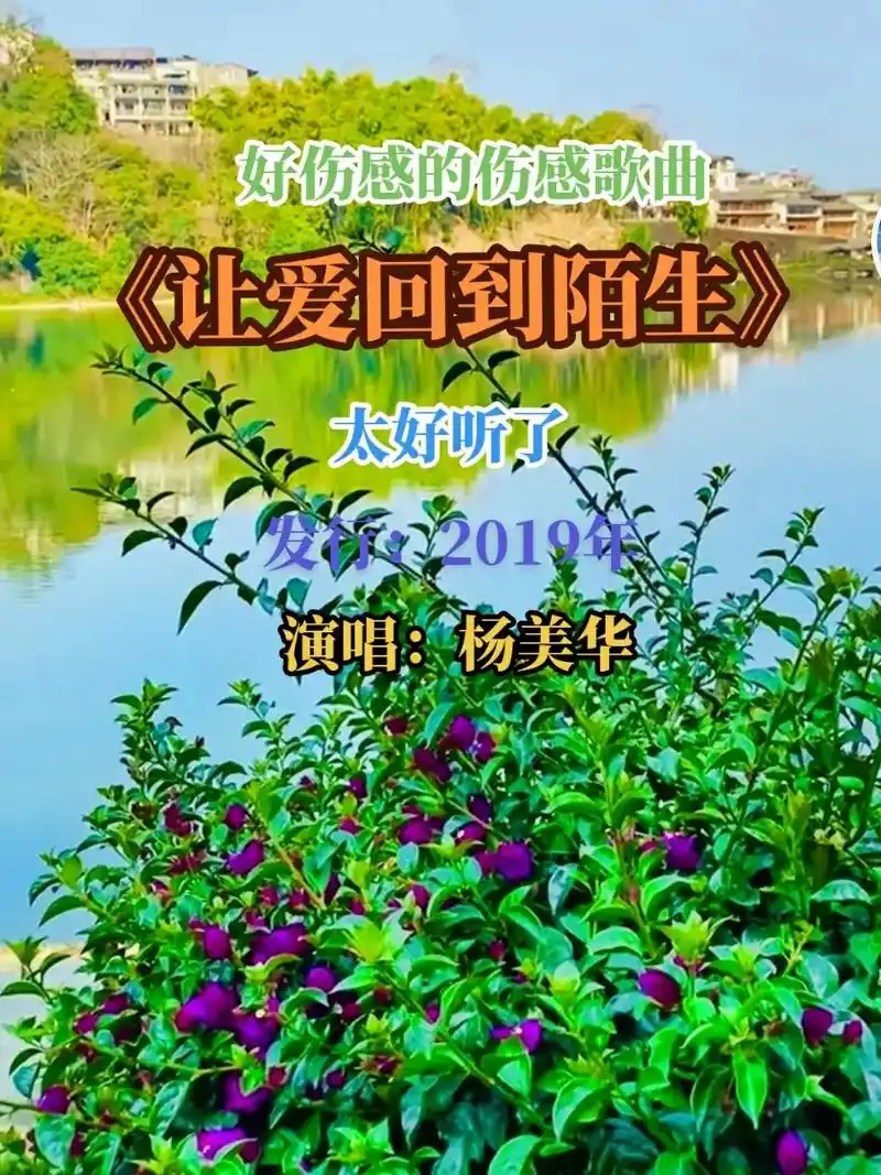 《让爱回到陌生》伤感歌曲  杨美华#推荐一首好听的歌 #情感 - 抖音