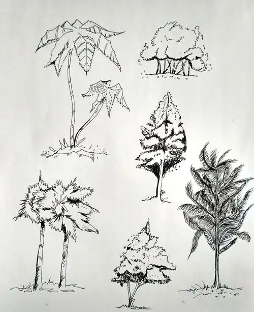 速写|树作画步骤 - 简书