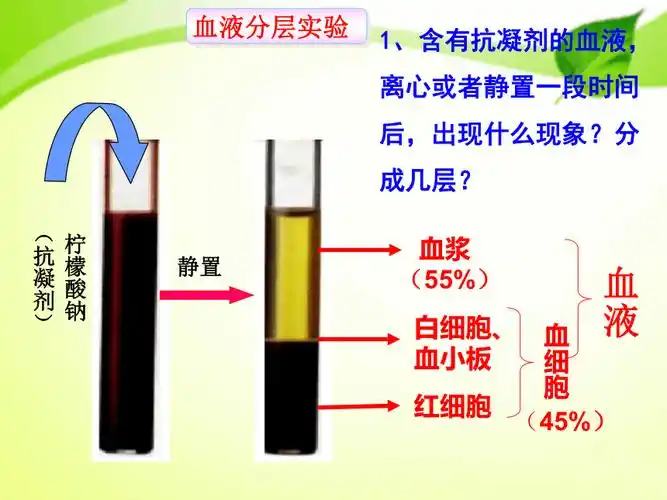 4.1流动的组织----血液课件(28张ppt)