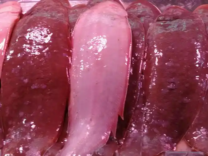 龙利鱼(龙舌,鞋底鱼)