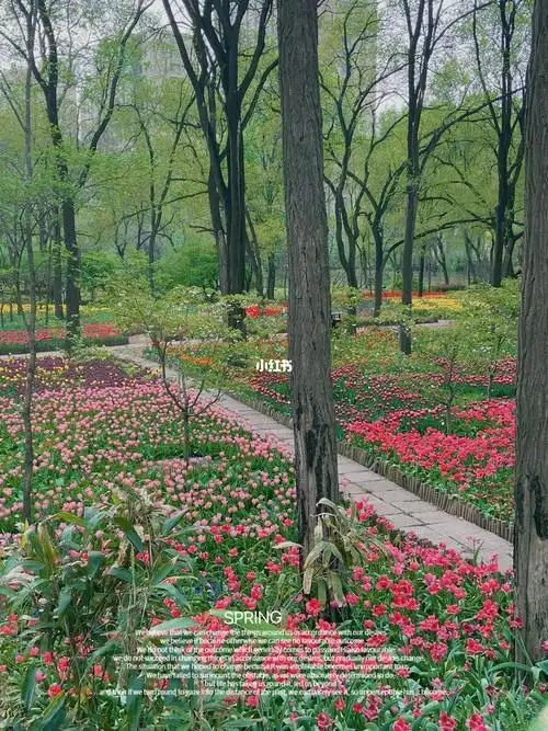 胶州植物园专属于春天的浪漫