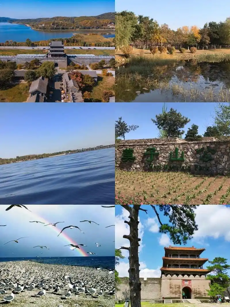 哎呀呀,我发现了沈阳浑南区的几个超棒露营地,简直是户外控的天堂!