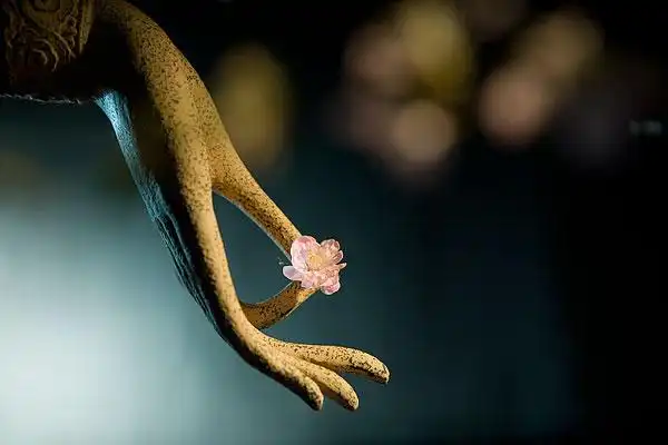 禅意-中国古典观音手