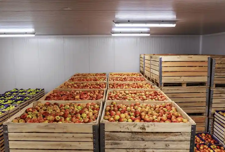 果蔬保鲜库建造