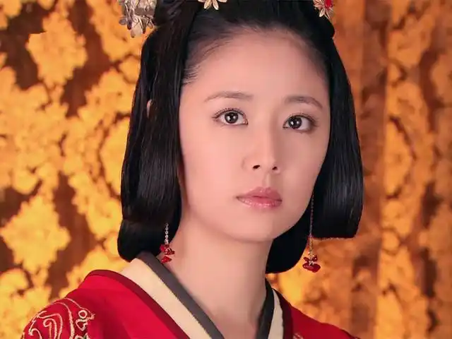 美人心计里的卫子夫:《美人心计》到底藏了多少美女?