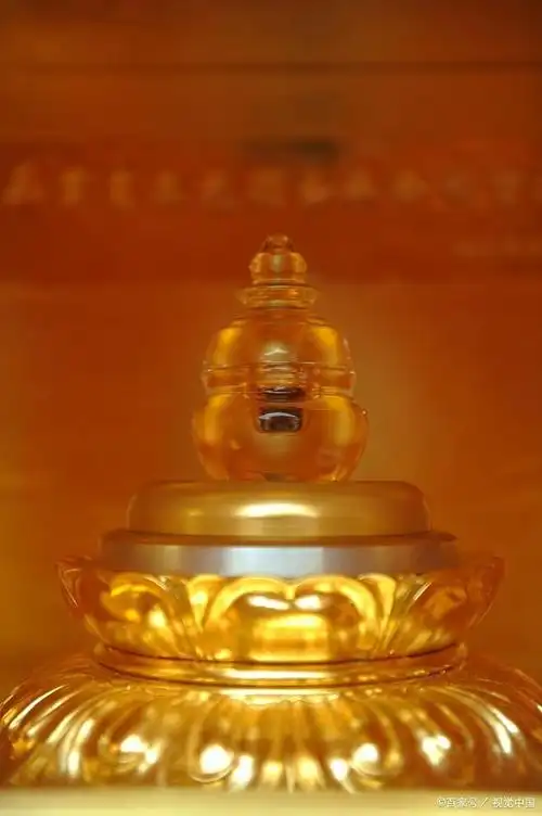 舍利子是什么东西