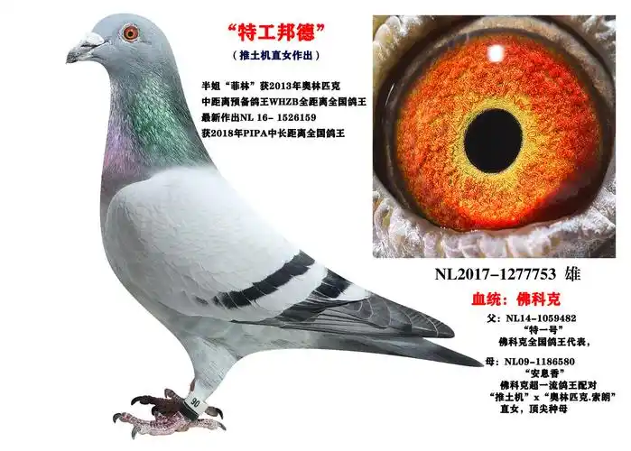 佛科克-推土机外孙【特工邦德】