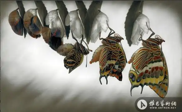西班牙艺术家拍"破茧成蝶"全过程