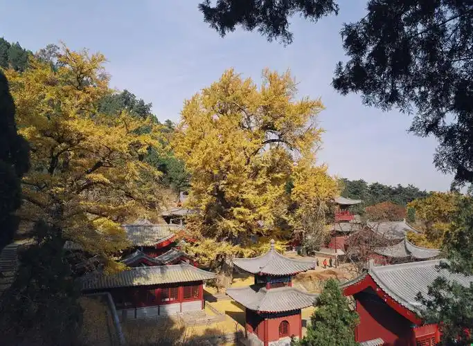 灵泉山-欢迎您来到沂水县人民政府