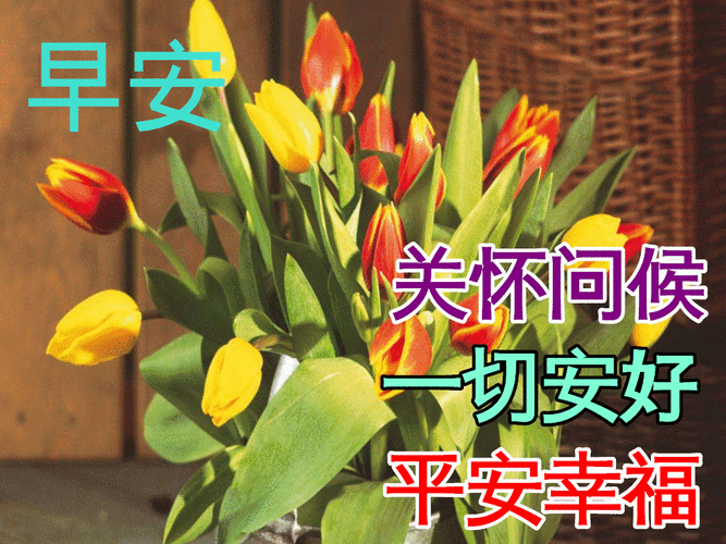 原创7张最新特漂亮早上好鲜花图片带祝福语2021最美早安问候祝福动态