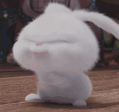 385_363gif 动态图 动图