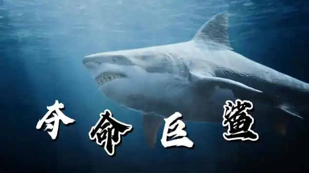 夺命巨鲨深海恐惧症巨鲨来袭生死未卜