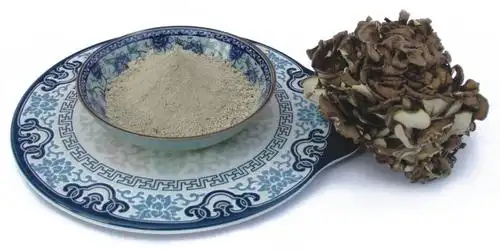 舞茸粉舞茸速溶粉舞茸汁粉舞茸酵素粉舞茸浸膏粉现