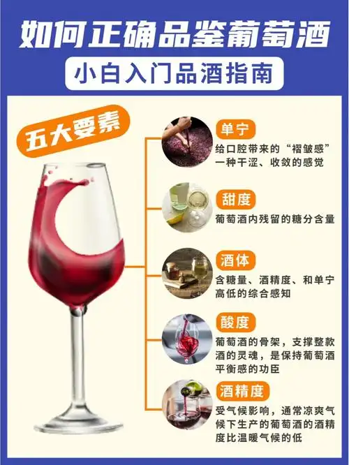 如何正确品鉴葡萄酒小白入门品酒指南