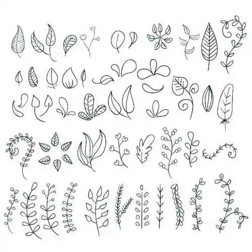 各种各样的植物叶子简笔画图片大全-5068儿童网树叶叶子卡通简笔画