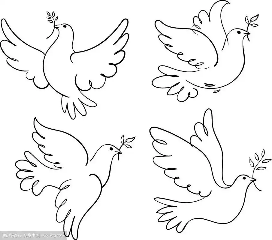 一组象征和平的鸽子