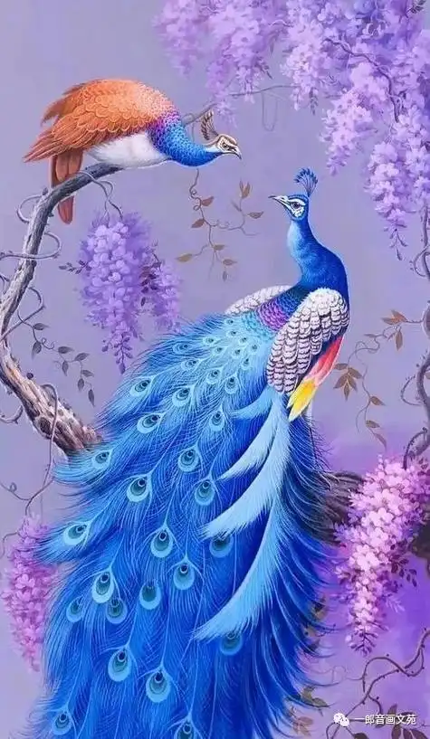 这些漂亮的吉祥鸟,美到惊艳,美到爆屏!太美了!