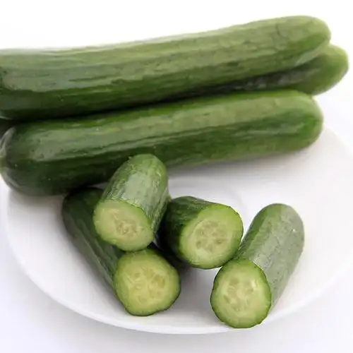 云南高原小黄瓜300-400g【价格 多少钱 图片 怎么样】 - 本来生活网