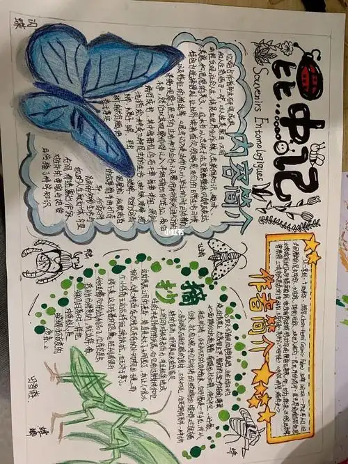 昆虫记手抄报