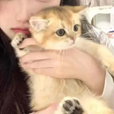 抱猫真人情头 ks诉凂_情侣头像_我要个性网