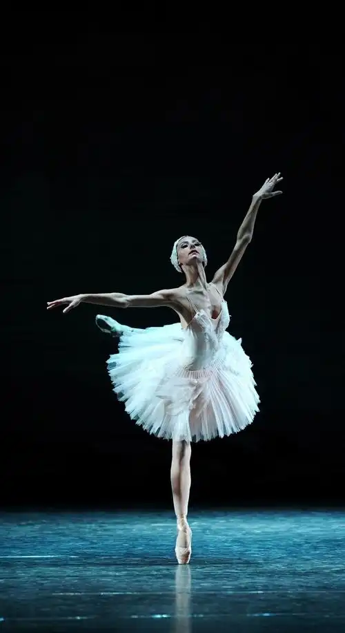 "天鹅湖" -- 俄罗斯国家芭蕾舞团