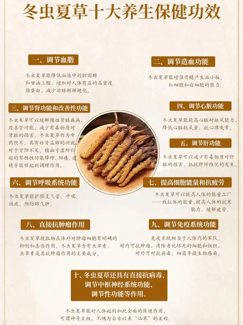 冬虫夏草的十大养生功效 第一,调节血脂.