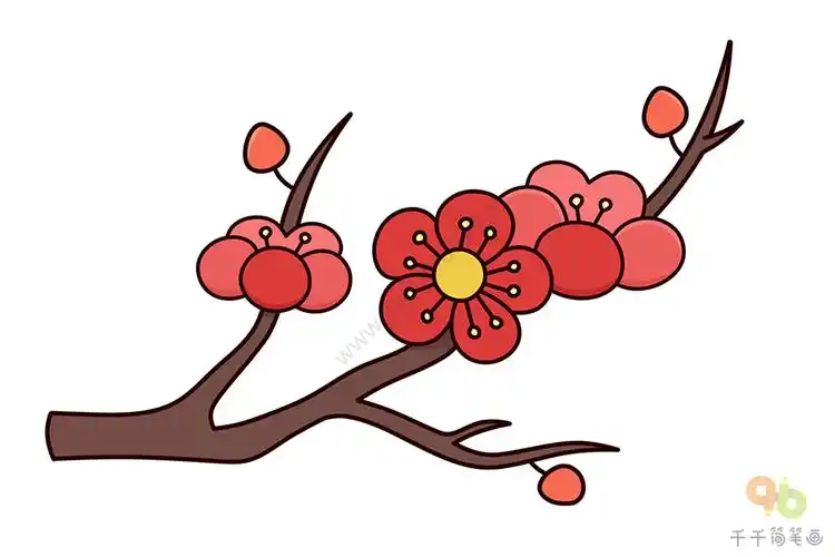 美丽的梅花简笔画图片