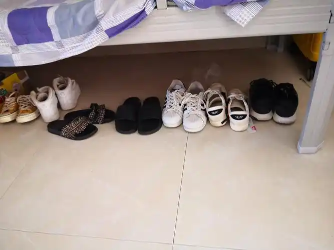 书香苑女生宿舍检查