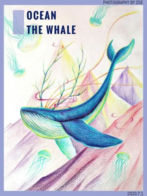 彩铅画鲸鱼彩铅插画