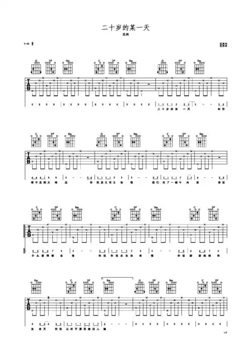 二十岁的某一天花粥