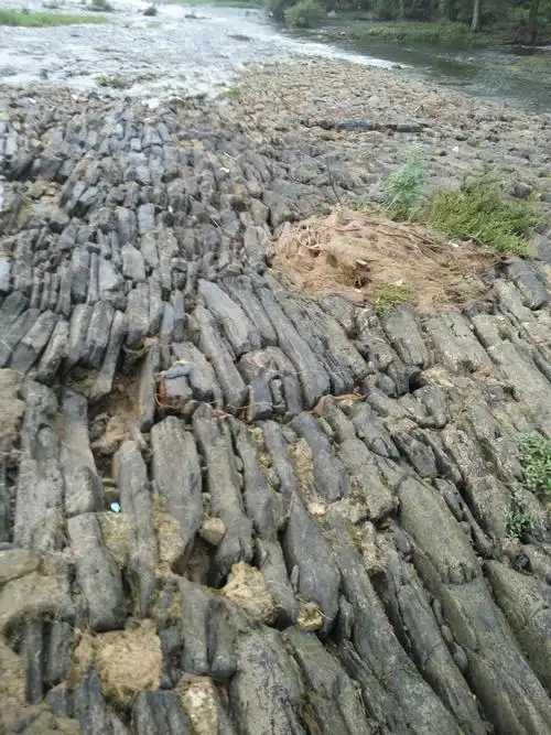 层层竖着的鱼鳞石