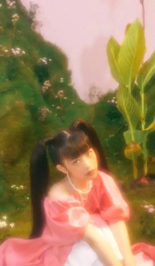 队友lisa之前也以一身麻花辫的造型亮相某一个旅游地点,本就具有