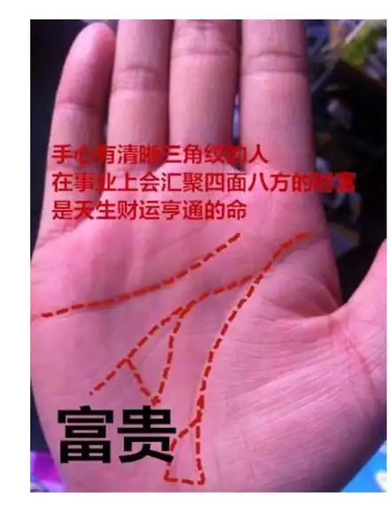 非常难得的十大吉祥手相图解手相算命由来已久,现实生活中,很多人还是