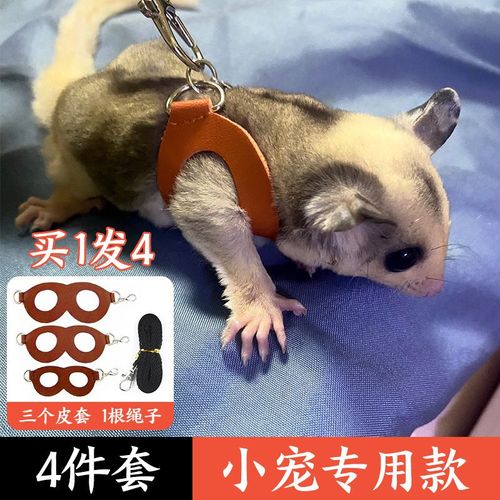 蜜袋鼯牵引绳仓鼠防挣脱背带式外出遛鼠绳子专用链子小宠必备用品