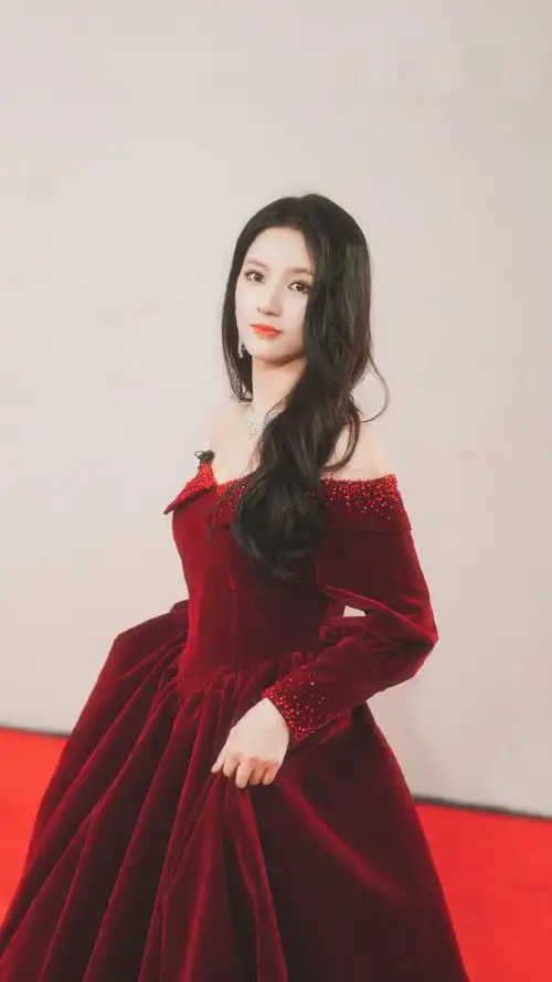 刘些宁优雅性感红毯照图片99