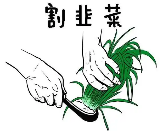 电商直播热潮里商家们是如何被直播电商割韭菜的