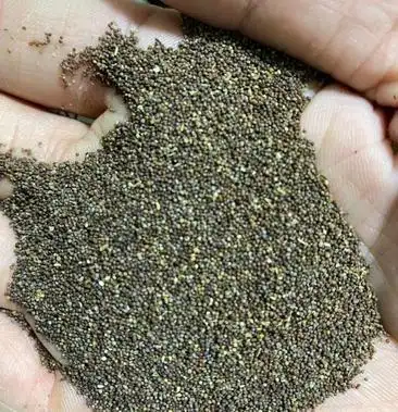 爬藤大牵牛花种子喇叭花混色混色重瓣多色矮牵牛种子