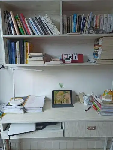 调剂又未遂后进组,悄咪咪看过不少人巧手收拾过形形色色的漂亮书桌,乱