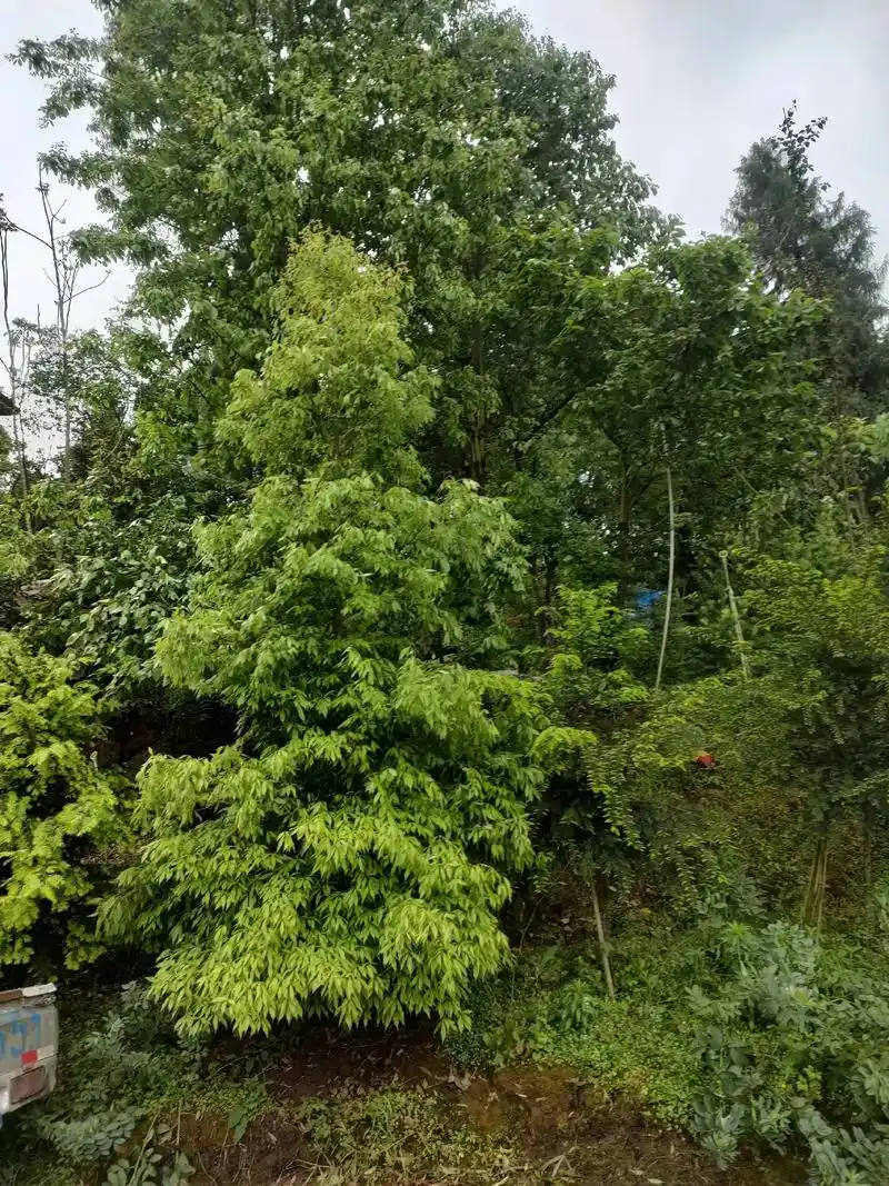 给自己一个微笑96保持善良这就是我做人的标准,让心情豁然开朗 - 抖