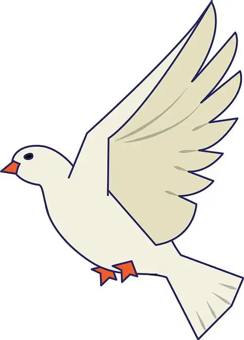 鸽子鸟飞翔的卡通图片