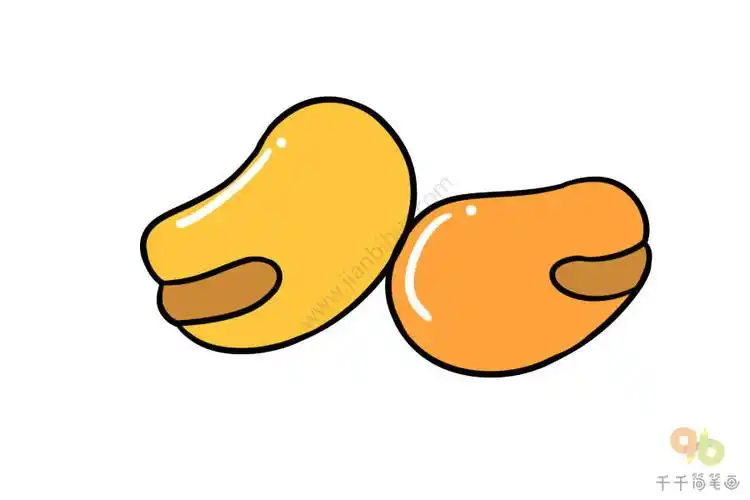 金灿灿的蚕豆简笔画