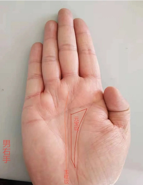 看手相算命图解线过两桥十人九富的特征