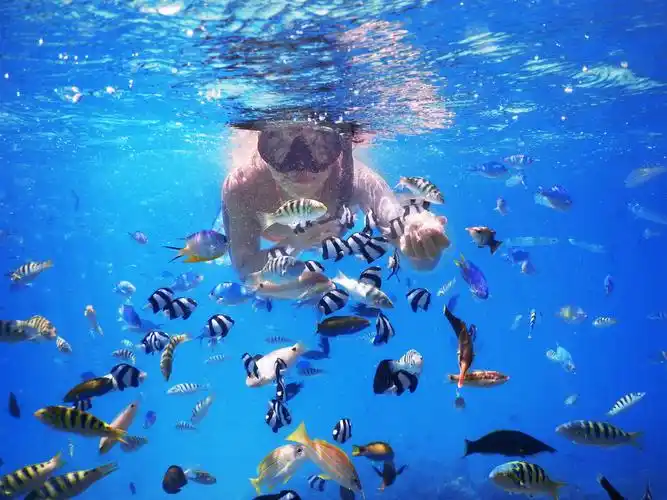 斐济 水下相机出租租赁 gopro/尼康/sjcam内置wifi防水相机 (按实际