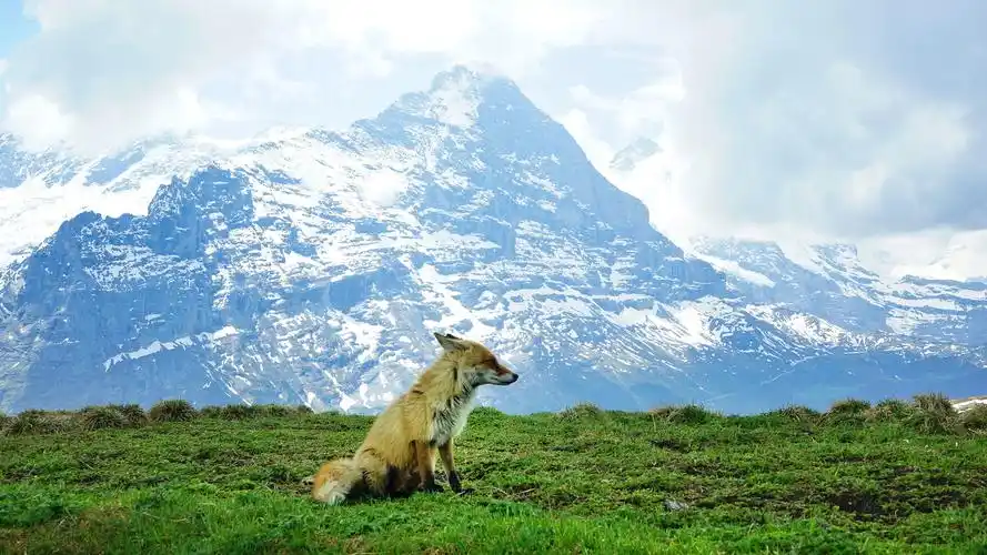 lake geneva 日内瓦湖