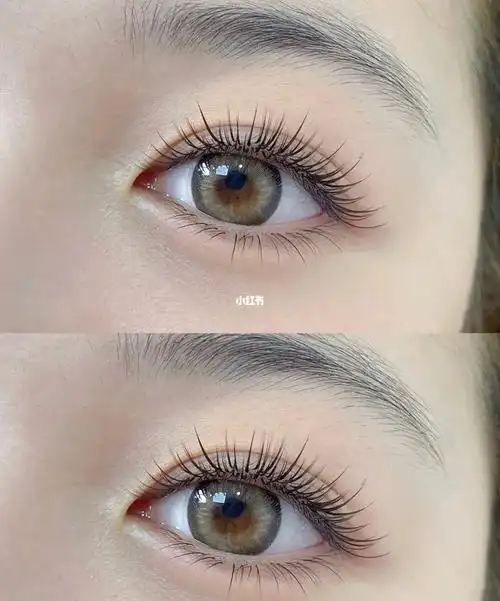 层次款睫毛多根嫁接