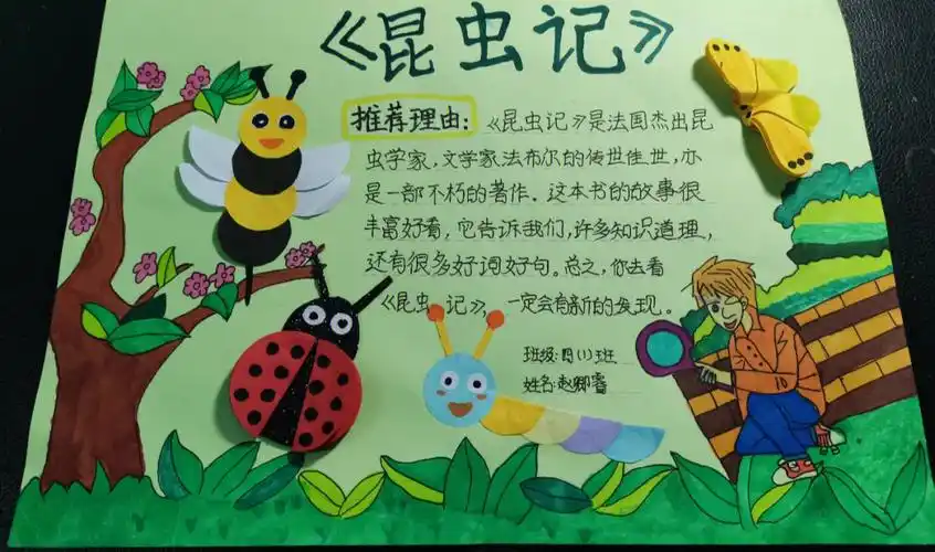 四年级语文  #小学语文   我们的孩子自制《好书推荐卡》超级好看