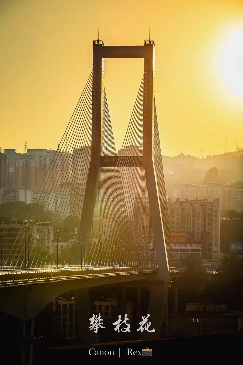 摄影日记1️⃣.📍 炳草岗大桥🌇"太阳东升西落,日子要